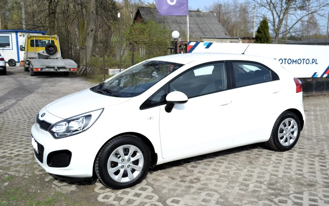 Kia Rio cena 28900 przebieg: 171000, rok produkcji 2014 z Chorzów małe 137